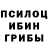 Псилоцибиновые грибы прущие грибы oxotnicful