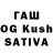 A PVP СК kat dug