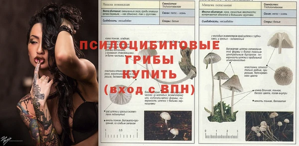прущая мука Абаза