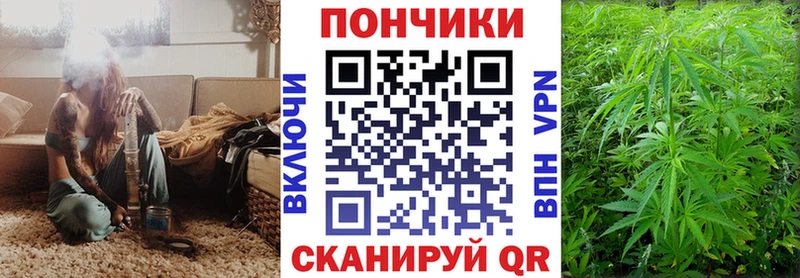 продажа наркотиков  OMG ссылки  Бошки Шишки конопля  Киренск 